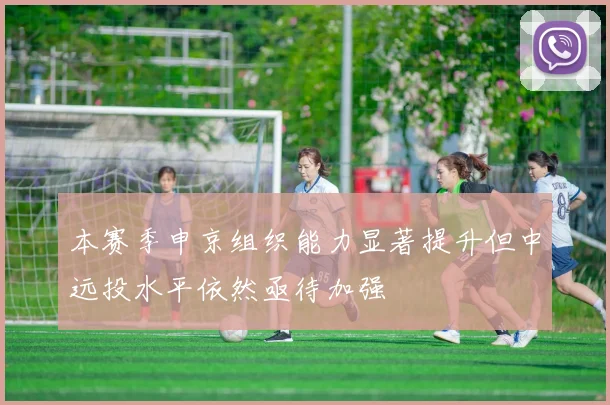 本赛季申京组织能力显著提升但中远投水平依然亟待加强